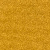 Ковролин Radici Nexus Senape 2429 фото 1 | FLOORDEALER